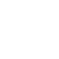 wordpress-service-icon